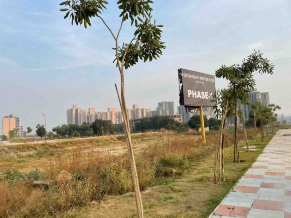 e79gpzl 1758100888 648377535 optOrig