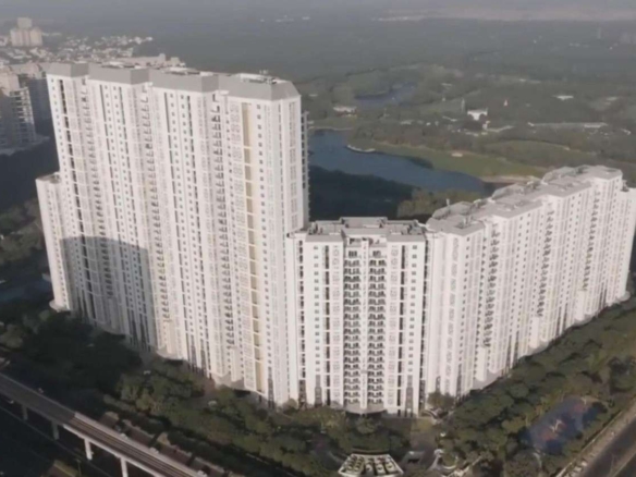 1d1lsme 1761720804 665251111 optOrig